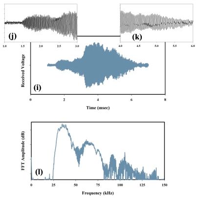 Ultrasonic emission from a MicroAcoustic BAT suitably driven so as to mimic the vocalization of one of the real bats studied above. This emssion was again detected by a MicroAcoustic BAT detector. 