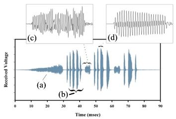 An ultrasonic emission from a Katydid as measured by an air-coupled ultrasonic BAT detector.