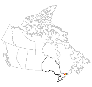 A map of Canada showing the location of MicroAcoustic in Ottawa within the province of Ontario.
