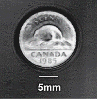 An ultrasonic "photograph" of a Canadian nickel acquired in atmospheric air using the focussed BAT transducer.